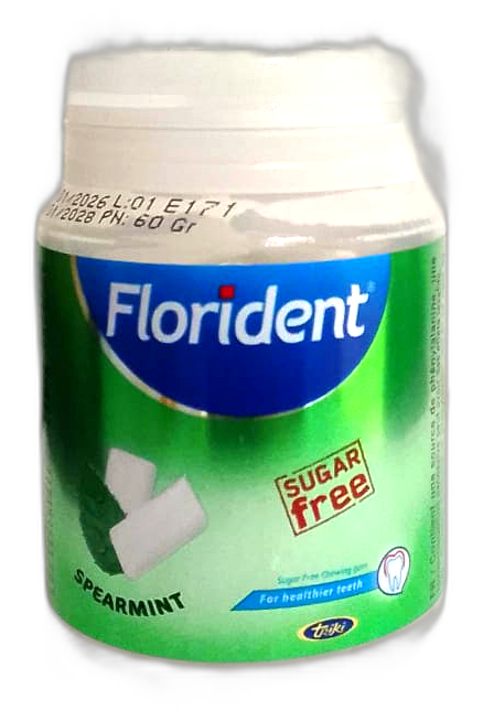 FLORIDENT MENTHE 60GR